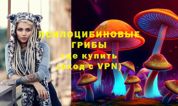 кокаин Вяземский