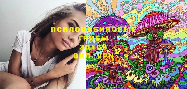 СК Вязники